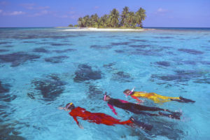 snorkeling-shallow-reefs-reefs