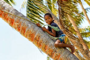 Local boy climbing palm tree to swing on a rope swing in Lavena